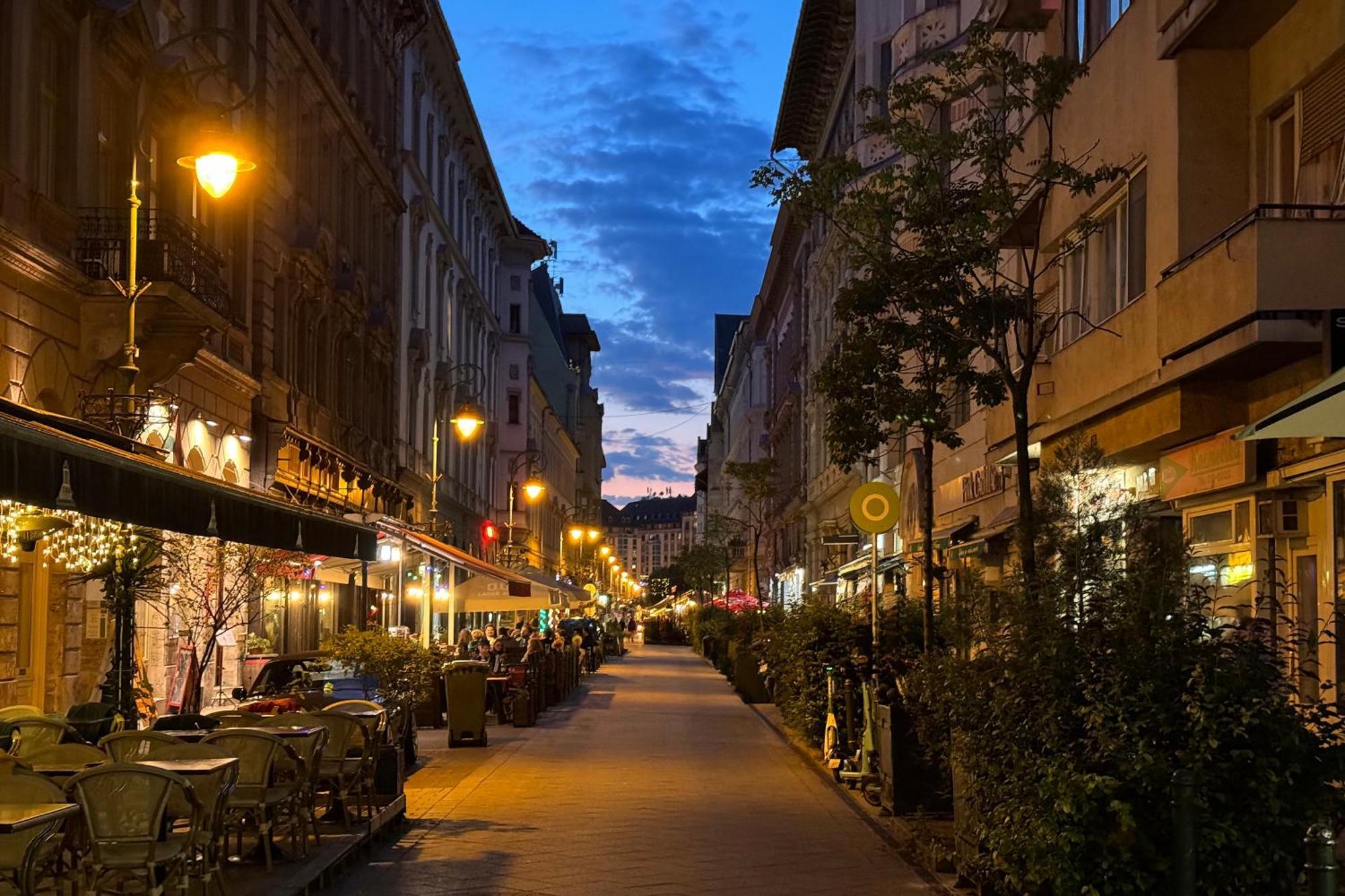 Jungle Aesthetics Downtown Apartman Aircon And Garage Parking Budapest Extérieur photo