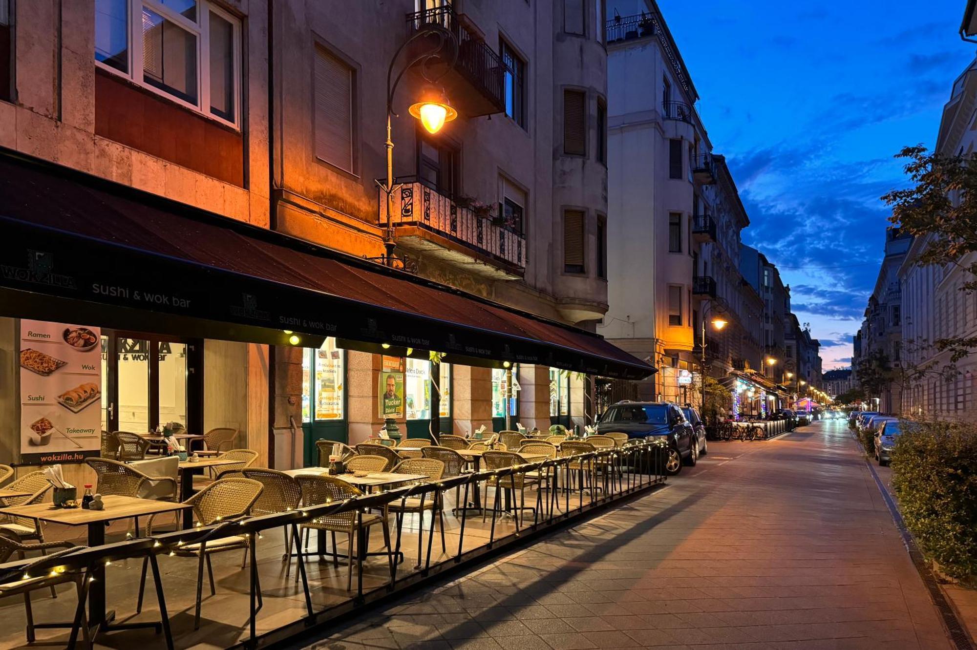 Jungle Aesthetics Downtown Apartman Aircon And Garage Parking Budapest Extérieur photo